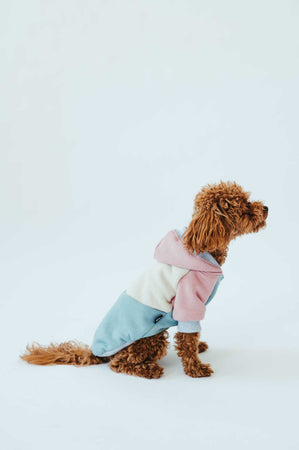 Dog onesie style Vintage – Onesie Premium pets Loungewear